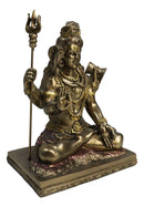 Hindu God Lord Shiva With Trishula Trident Drum Cobra In Meditation Figurine