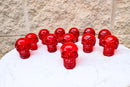 Pack of 12 Red Translucent Witching Hour Gazing Skull Miniature Figurines 2.5"L