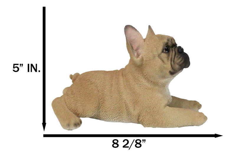 Sitting Realistic Adorable French Bulldog Puppy Dog Frenchie Figurine 8.25"L