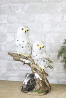 12-Inch Snowy Winter Spotted Owl Couple Figurine on Snow-Covered Tree Branch