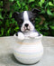 Black White Tuxedo Boston Terrier Puppy Dog Figurine With Glass Eyes Pup In Pot