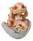 Adorable Orange Baby Dragon Hatchling Cracking Out of Egg Shell Figurine 4"H