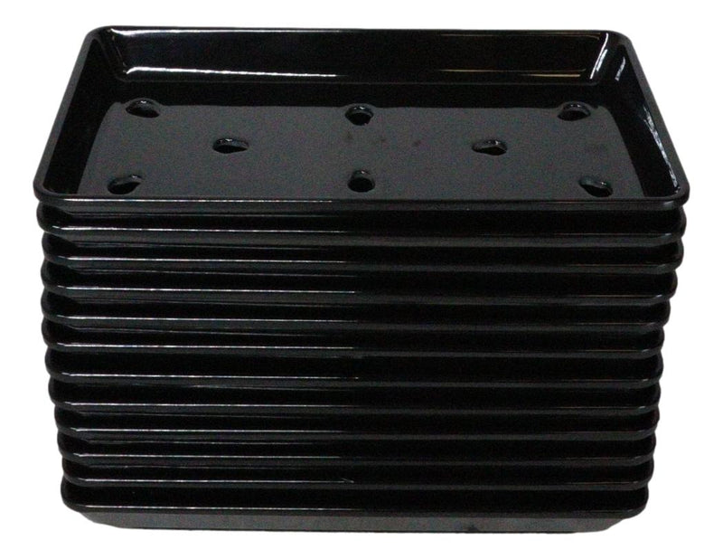 Pack Of 12 White Neta Zara Sushi Case Sashimi Plates With Drip Holes 8" By 3.75"