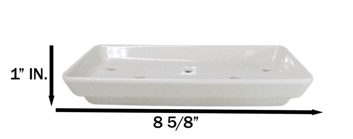Pack Of 6 White Neta Zara Sushi Case Sashimi Plates With Drip Holes 8.5" By 5"