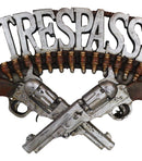 No Trespassing Wild West Dual Six Shooter Guns With Bullets Wall Sign Plaque