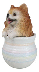Pet Pomeranian Pom Pom Teacup Puppy Dog Figurine With Glass Eyes Pup In Pot