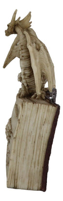 Skeleton Bone Dragon On Spell Book Of The Dead Skull Mummy LED Light Figurine