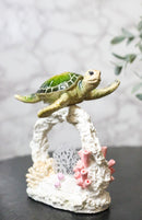 Marine Green Sea Turtle Swimming Over Coral Reef With Acrylic LED Light Figurine