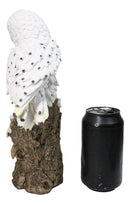 Snowy Owl Mother with Two Owlets Family Figurine on Snow-Covered Tree Stump