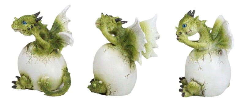 See Hear Speak No Evil Wise Dragons Family In Hatchling Egg Figurines Set Of 3