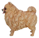 Lifelike Adorable Pet Pal Pomeranian Puppy Dog Standing Figurine
