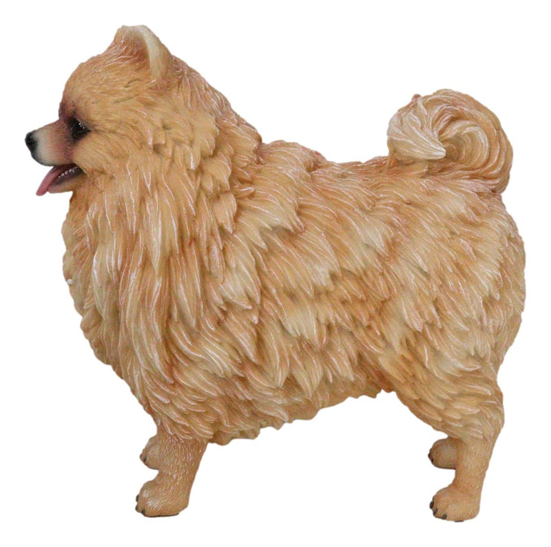 Lifelike Adorable Pet Pal Pomeranian Puppy Dog Standing Figurine