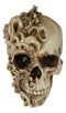 Spirit Skull Opera Tooled Rococo Flares Masquerade Cranium Macabre Figurine