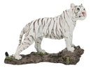 Apex Jungle Predator Prowling Fierce Siberian White Bengal Tiger Figurine
