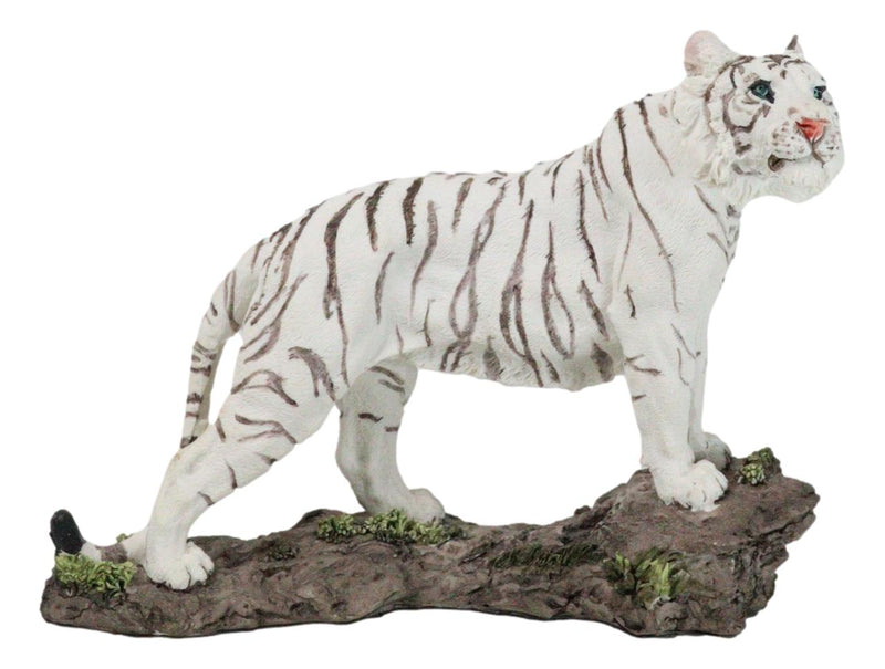 Apex Jungle Predator Prowling Fierce Siberian White Bengal Tiger Figurine