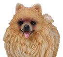 Lifelike Adorable Pet Pal Pomeranian Puppy Dog Standing Figurine