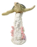 Marine Green Sea Turtle Swimming Over Coral Reef With Acrylic LED Light Figurine