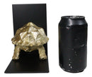 Nautical Marine Turtle Tortoise with Spiked Shell Bookends Sculpture Set 6"H