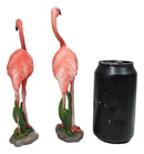 Tropical Paradise Bird Pink Flamingo Pair with Heart Shaped Neck Figurine Set