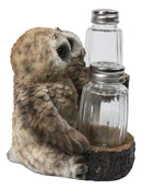 Owl Lovers Couple Salt and Pepper Shaker Holder with Glass Shakers Figurine
