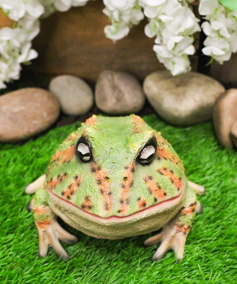 Amphibian Wildlife Realistic Green Bullfrog Frog In Stoic Posture Figurine 7"L