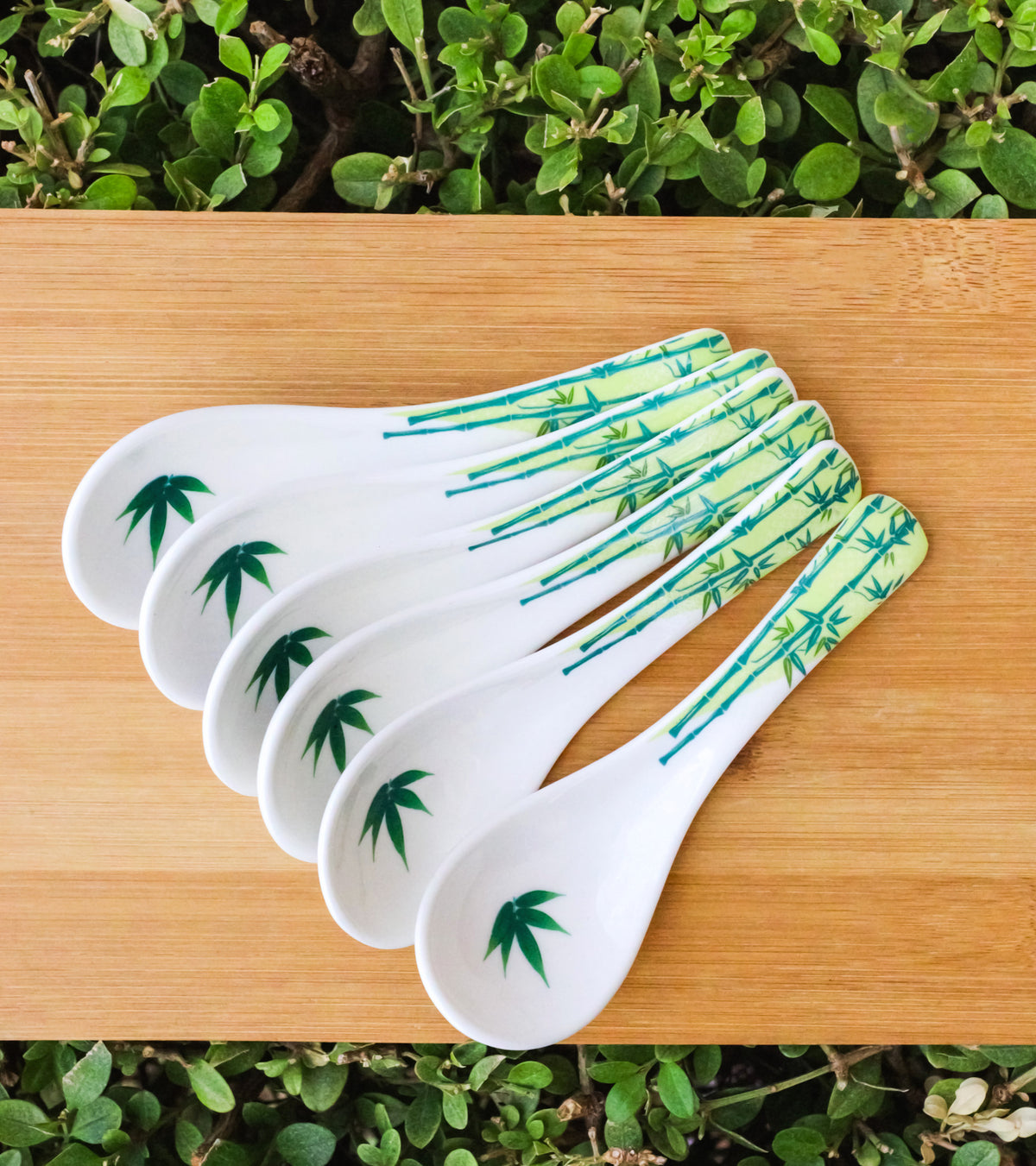 Set of 6 Green Bamboo Porcelain Asian Soup Spoons Japanese Ramen Pho Wonton