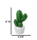 Southwest Desert Plains Whimsical Green Aloe Cactus Money Savings Piggy Bank