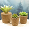 Set Of 3 Realistic Artificial Botanica Plant Succulents In Jute Wrapped Tin Pots