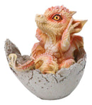 Adorable Orange Baby Dragon Hatchling Cracking Out of Egg Shell Figurine 4"H