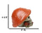 Brown Macabre Toadstool Mushroom Cap Skull With Mini Fungi Figurine 5" L