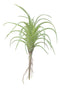 Set of 5 Realistic Artificial Faux Botanica Air Plants Fern Grass Succulents 8"