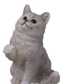 Realistic Feline British Shorthair Grey Kitty Cat Kitten Pawing Mini Figurine