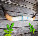 Turquoise White Texas Longhorn Steer Cow Horns Wall Decor Plaque Figurine 22"L