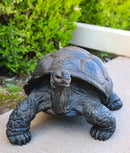 Realistic Marine Lifelike Galapagos Giant Tortoise Turtle Large Statue 18"L