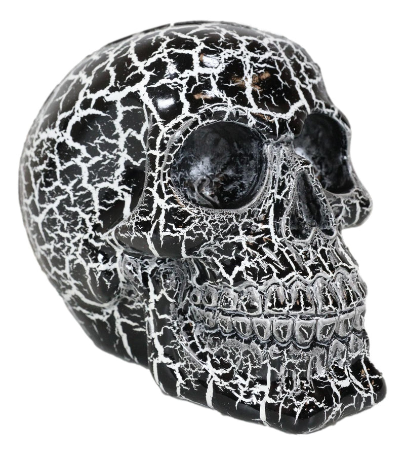 God of Lightning Thunder Bolt Punk Rock Black Skull Figurine Ossuary Macabre Art