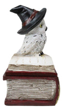 White Snow Owl With Witch Hat Sitting On Triple Moon Spell Book Trinket Box