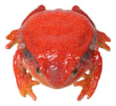 Amphibian Wild Creatures Realistic Northern Red Legged Frog Decorative Figurine