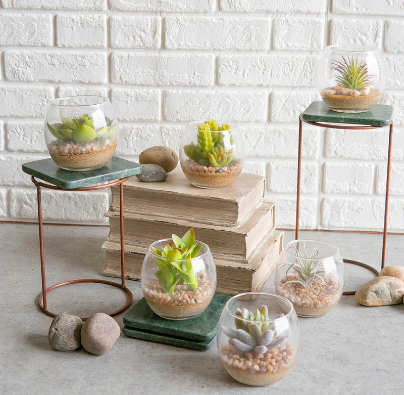 succulent pots glass Set Of 6 Realistic Artificial Botanica Succulents Plants In Round Glas– Ebros Gift