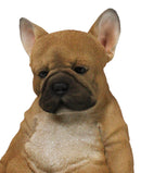 Laid Back Sitting Realistic Adorable French Bulldog Puppy Dog Figurine 7.5"H