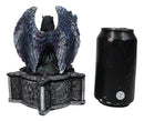 Gothic Fairy Queen With Raven Crow On Pentagram Star Decorative Box Figurine