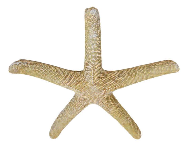 Nautical Marine Ocean Coral Yellow Sea Star Shell Starfish Wall Plaque Sculpture