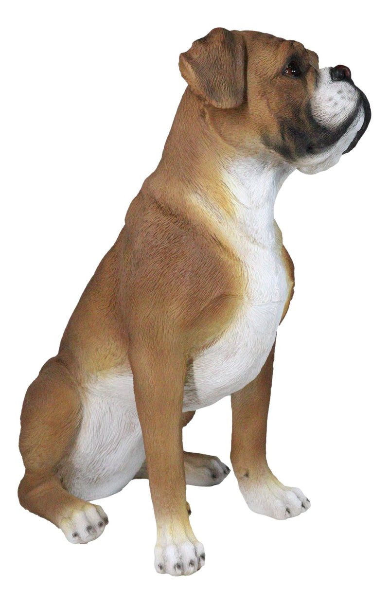 Large 18" Tall Adorable Realistic Sitting Fawn Boxer Dog Statue Home Decor