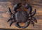 Set Of 4 Cast Iron Rustic Marine Sea Crab Drawer Cabinet Door Knobs Hardware