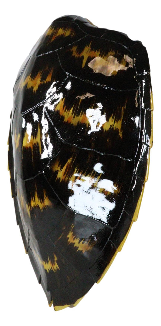 Large Nautical Marine Black Tone Faux Hawksbill Turtle Shell Replica Wall Decor - Ebros Gift