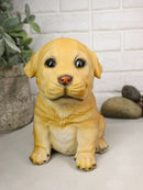 Sitting Adorable Fawn Labrador Retriever Puppy Dog Pet Pal Pooch Figurine