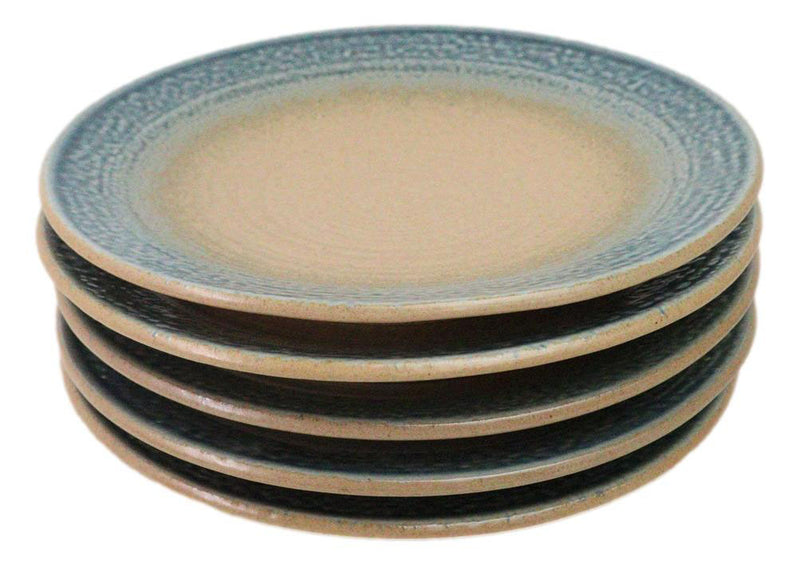 Pack Of 5 Blue River Ao Nagashi Collection Large Round Dinner Plates 10" D