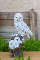 Snowy Owl Mother with Two Owlets Family Figurine on Snow-Covered Tree Stump