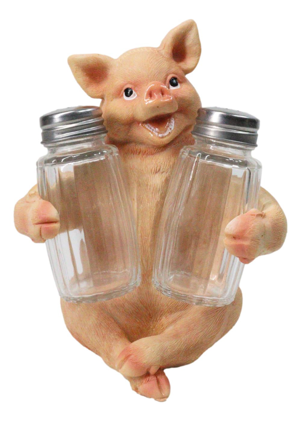 Cute Pig Salt and Pepper Shaker Holder Set with Glass Shakers, Smiling Porky Pig