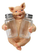 Cute Pig Salt and Pepper Shaker Holder Set with Glass Shakers, Smiling Porky Pig