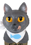 Whimsical Crazy For Cats Feline Kitty Grey Cat Eat Door Or Wall Hanging Sign